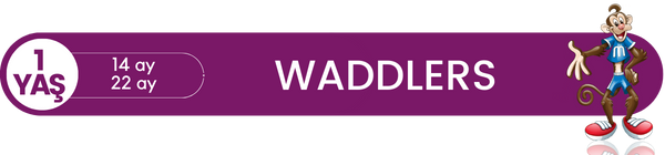 WADDLERS 14 ay - 22 ay